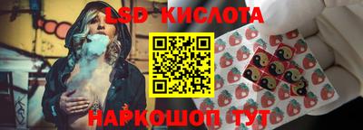 гидра Долгопрудный