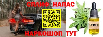 гидра Долгопрудный