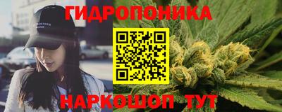 гидра Долгопрудный