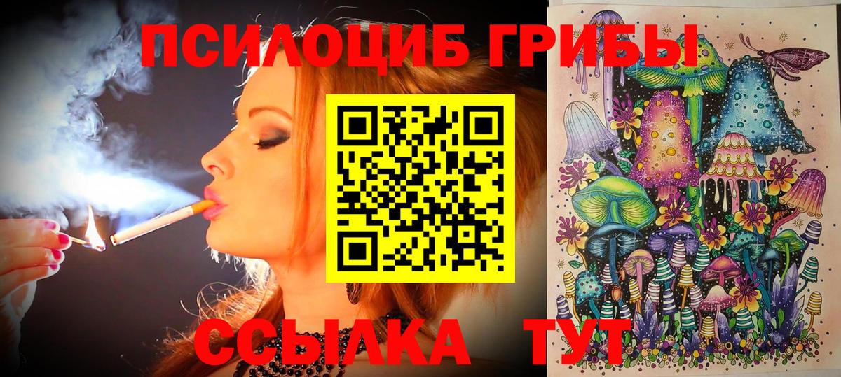 наркотики  Псилоцибиновые грибы MAGIC MUSHROOMS  Вход с VPN  Псилоцибиновые грибы ЛСД  Верхний Уфалей 