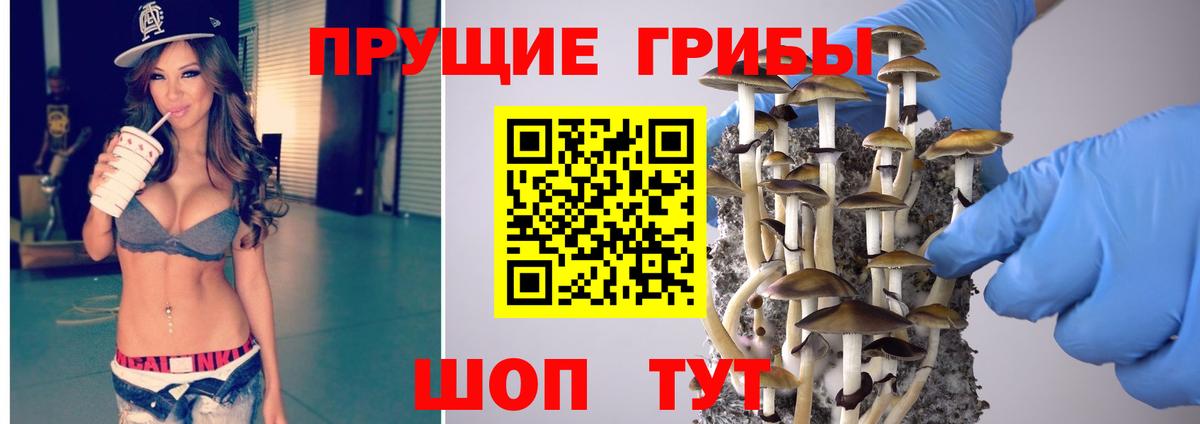 Псилоцибиновые грибы ЛСД Верхний Уфалей